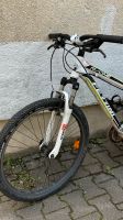 Fahrrad Kinder 26 Zoll Stuttgart - Vaihingen Vorschau