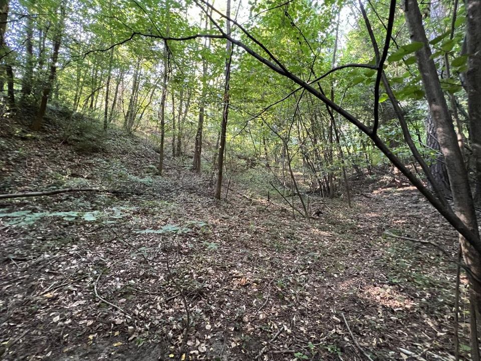 TOP PREIS: Idyllisches Baugrundstück am Mühlbach in Burgthann 