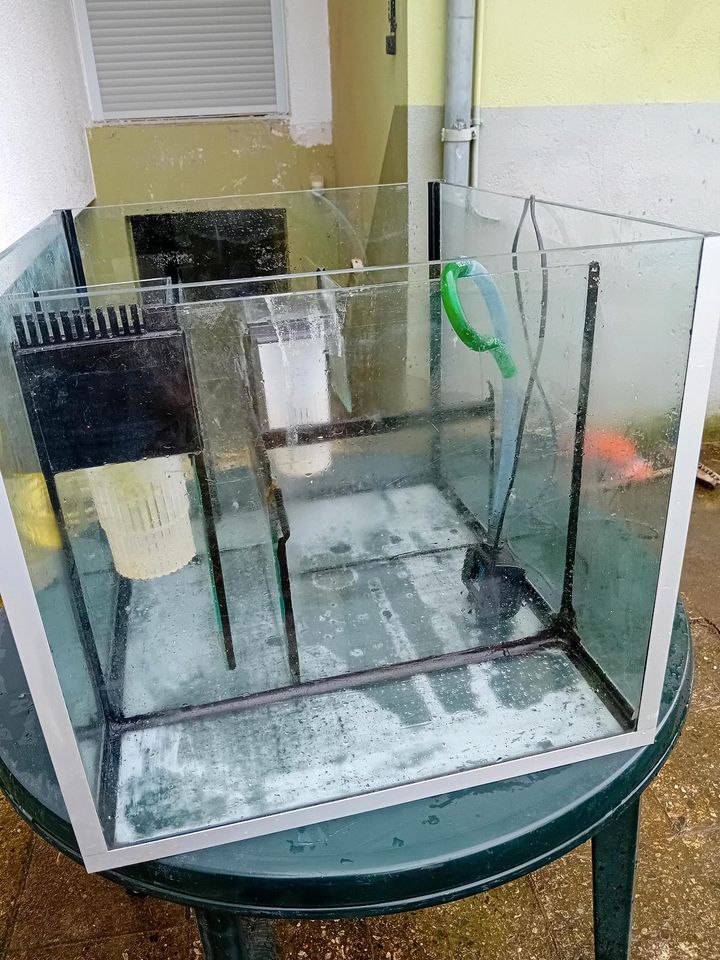 Filterbecken vom Meerwasseraquarium mit Technik in Gelsenkirchen