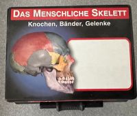 Anatomie-Lernkarten (Skelett und Muskeln) München - Bogenhausen Vorschau