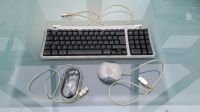 Original Apple USB Keyboard Tastatur M2452 Maus M4848 M5759 1999 Rheinland-Pfalz - Wallendorf Vorschau