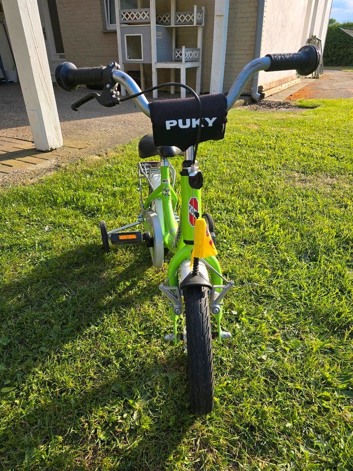 Puky Kinderfahrrad Fahrrad in Rehburg-Loccum