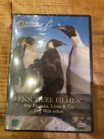 Wenn Tiere Filmen, DVD, national Geographic Baden-Württemberg - Baden-Baden Vorschau