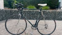 Pinarello Asolo Vintage Rennrad RH 64cm Hessen - Modautal Vorschau