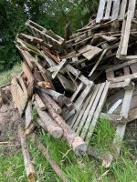 Brennholz zu verschenken Niedersachsen - Emlichheim Vorschau