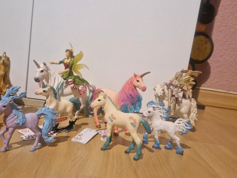 schönes Bayala Einhorn Feen Schleich Set in Kellinghusen