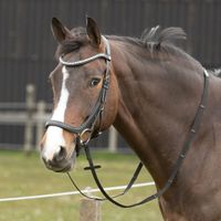 Trense Anatomic Crystal Harrys Horse schwarz NEU Sachsen-Anhalt - Starsiedel Vorschau