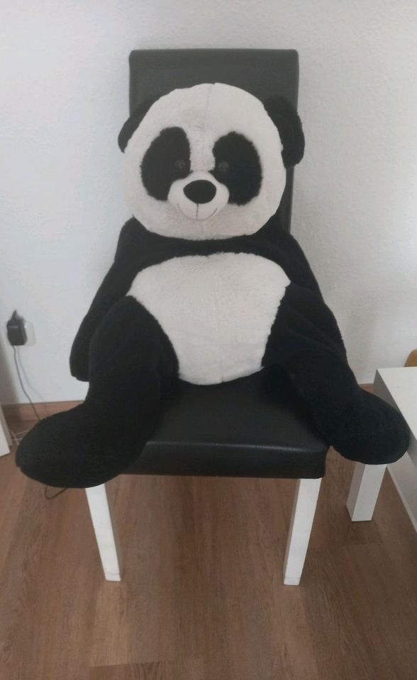 Großer Panda-Teddybär in Gelsenkirchen