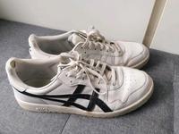 Asics Japan Niedersachsen - Vechelde Vorschau