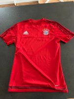 FC Bayern Trainings Shirt Trikot FCB Rheinland-Pfalz - Herxheim bei Landau/Pfalz Vorschau