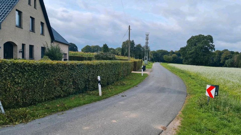 Heckenschnitt, Gartenpflege, Dachrinnenreinigung in Bielefeld