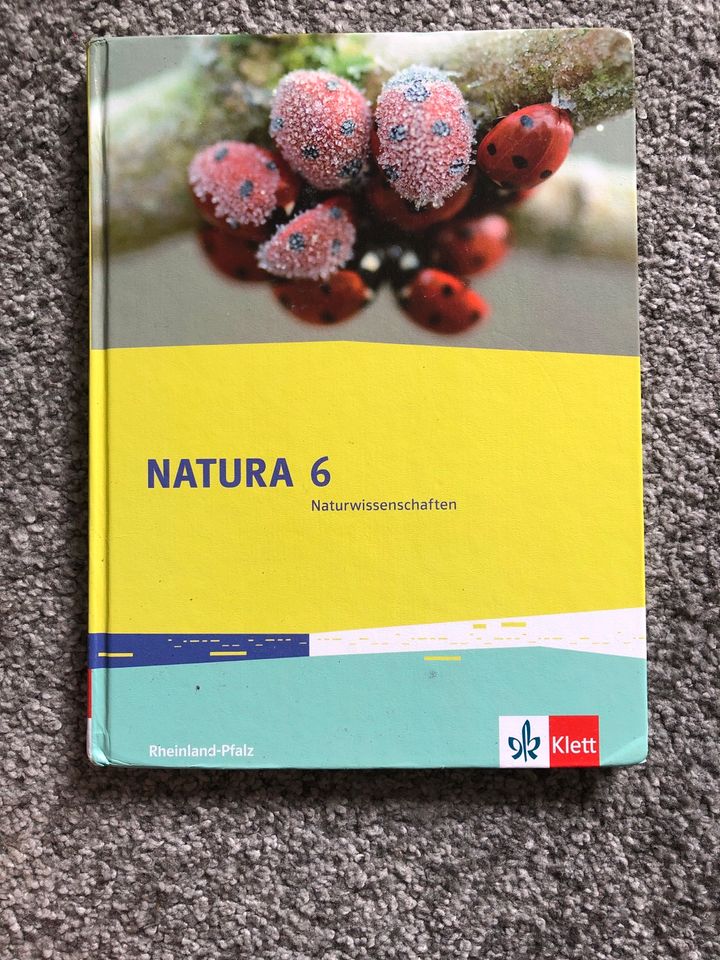 Naturwissenschaften Nawi Buch „Natura 6“ in Bassenheim