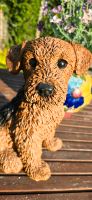 Deko Figur Hund Airedale Terrier Welpe Hundefigur sitzend Kollekt Nordrhein-Westfalen - Oberhausen Vorschau