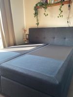 Boxspringbett Anthrazit 180x200cm Schleswig-Holstein - Norderstedt Vorschau