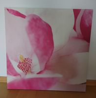 Bild – Pjätterid von IKEA - rosa Magnolie  – 56 x 56 cm Baden-Württemberg - Esslingen Vorschau
