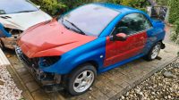 Peugeot 206 cc Cabrio Baden-Württemberg - Teningen Vorschau