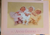 Puzzle 1000 Teile Anne Geddes Babys Süßer Schlummer Köln - Esch/Auweiler Vorschau