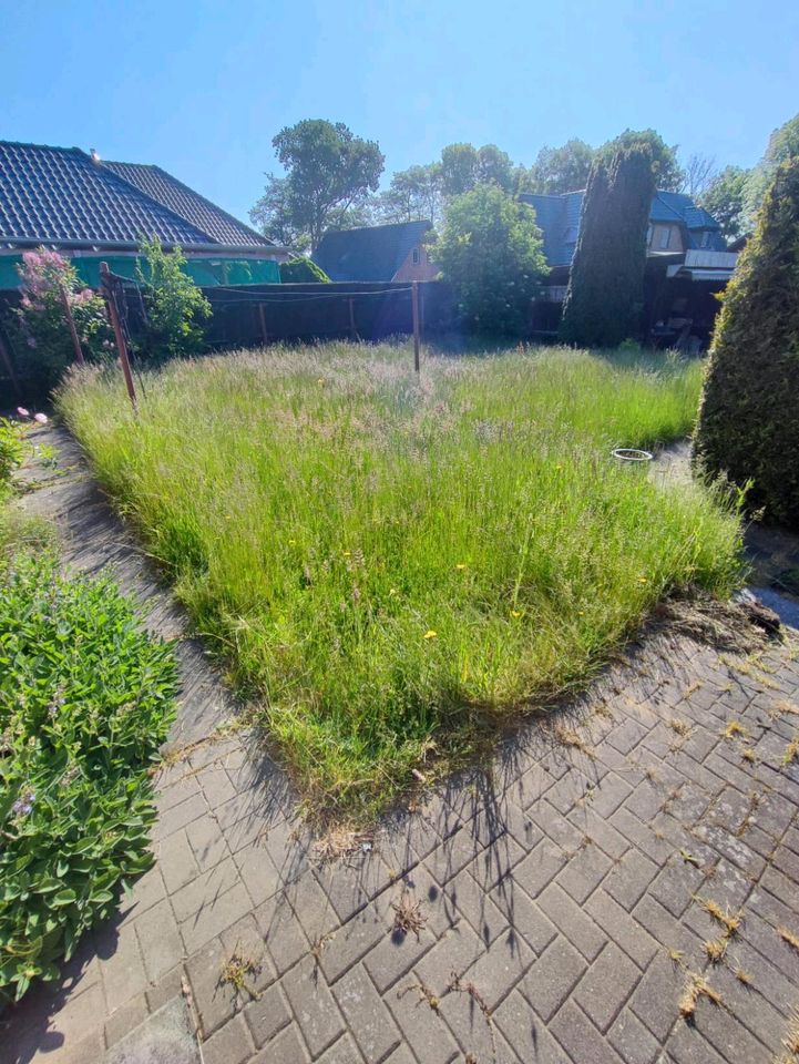 Gartenbau Gartenpflege in Eddelak