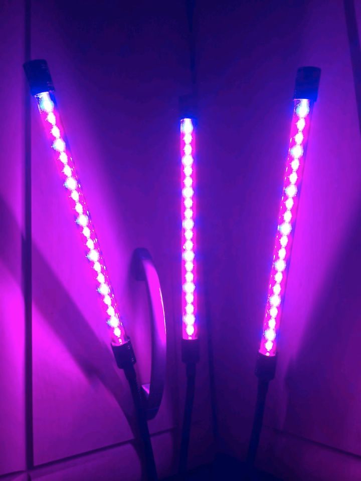LED Pflanzenlampe Vollspektrum 3 armig in Oranienburg