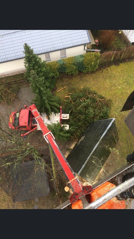 Baumfällungen / Abtragen mit SKT, Brennholz!!!&weitere Arbeiten in Jerichow