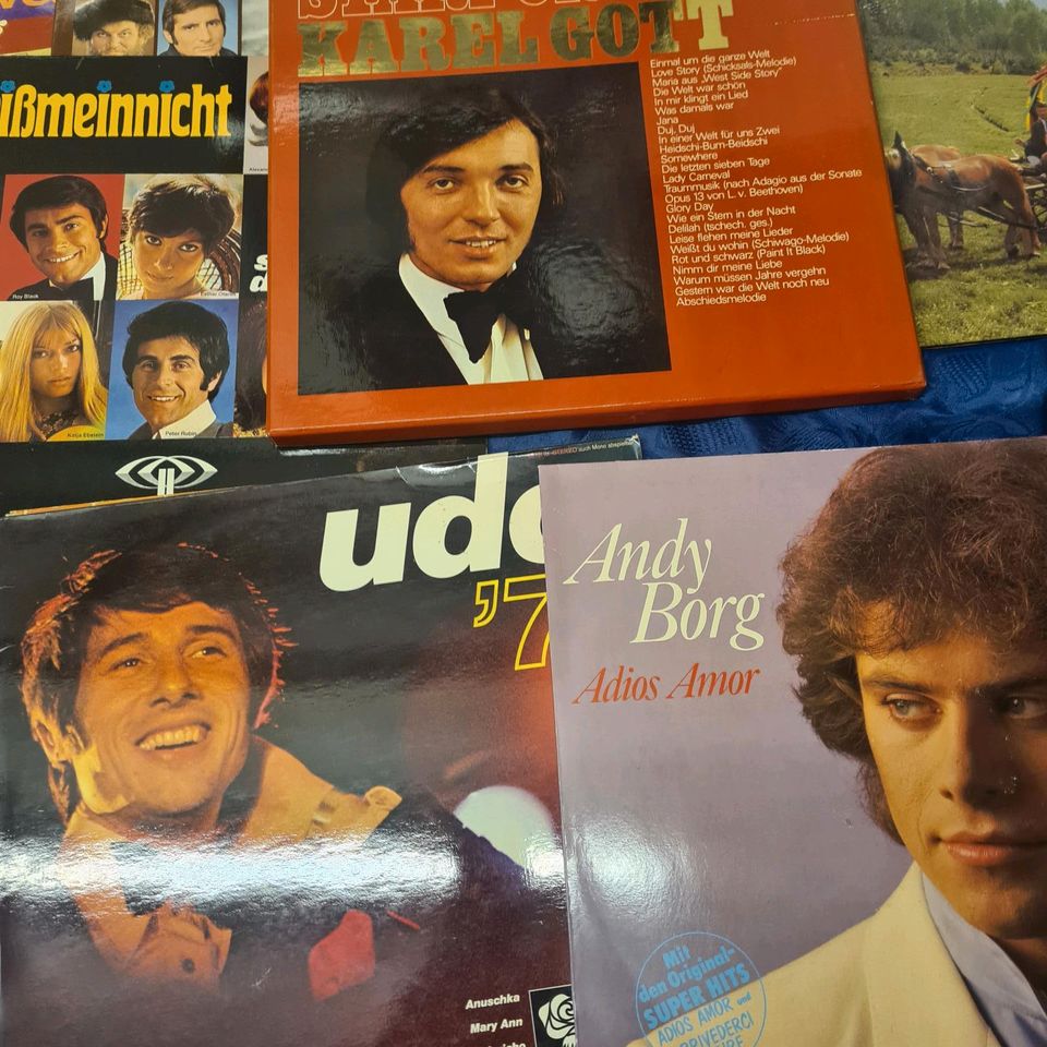 Retro oldies Schallplatten mindestens 30 kg nur alles abzugeben in Vilsbiburg