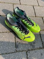 Fußballschuhe Puma 40,5 Nordrhein-Westfalen - Gangelt Vorschau