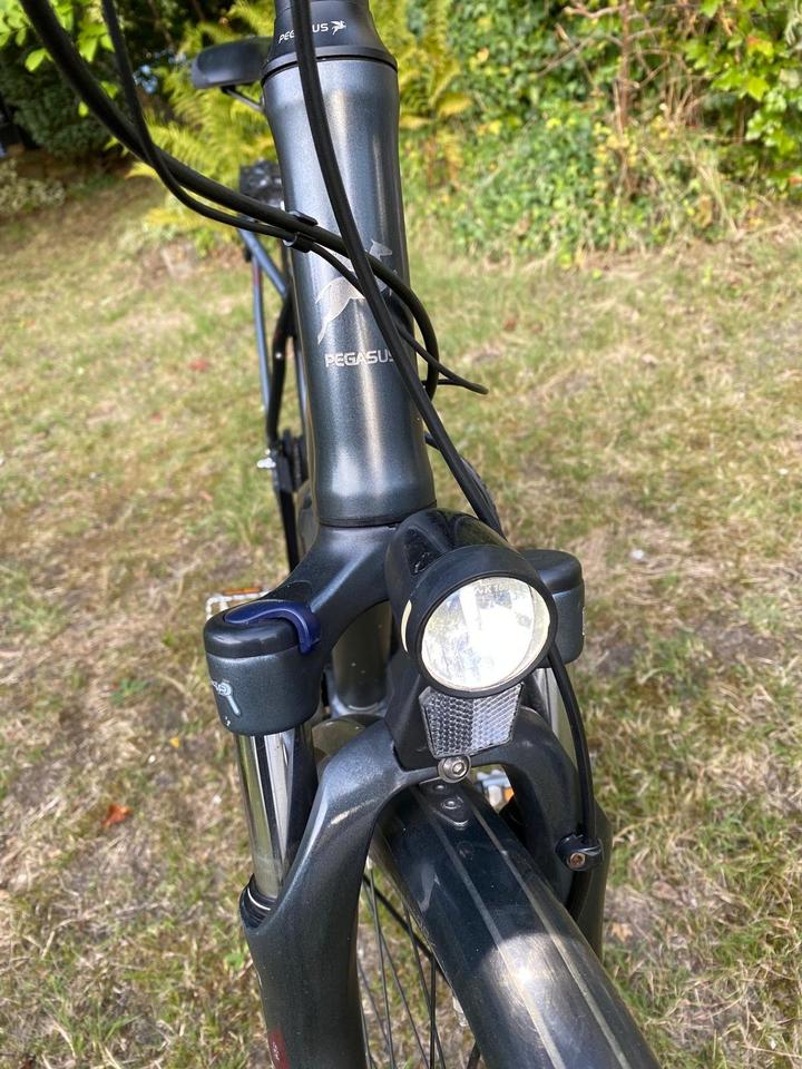 PEGASUS OPERO 50th Anniversary E-Bike Alurahmen 54cm Shimano in Hamburg
