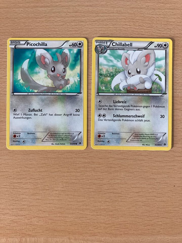 Pokémon Karte Picochilla, Chillabell in Munningen