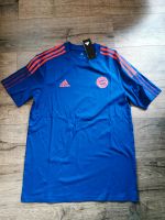 Adidas FC Bayern München T-Shirt blau Gr.M Bayern - Ebermannstadt Vorschau