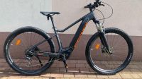 Scott ebike bosch cx 500ah 200km Baden-Württemberg - Marbach am Neckar Vorschau