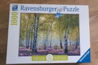 Puzzle Birkenwald Dresden - Pieschen Vorschau