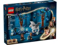 LEGO® Harry Potter 76432 Der verbotene Wald™: Magische Wesen NEU✅ Bayern - Markt Wald Vorschau