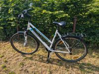 Fahrrad Damen Trekkingrad, Pegasus Piazza Brandenburg - Caputh Vorschau