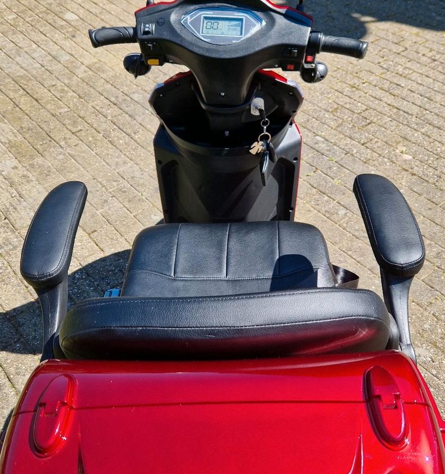 E-Scooter Elektromobil in Papenburg