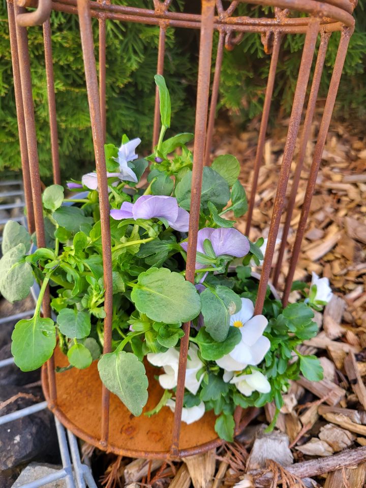 Voliere aus Edelrost, Vogelkäfig, Gartendeko, Rost, Gartendeko in Stetten am kalten Markt