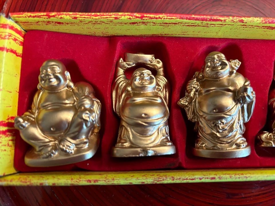 6 Lucky-Buddhas , neu in Dresden