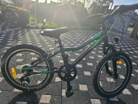 20 Zoll Aluminium Kinder Fahrrad Rheinland-Pfalz - Harscheid Vorschau