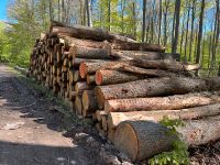 Stammware Esche Kaminholz Brennholz Holz Sachsen-Anhalt - Oschersleben (Bode) Vorschau