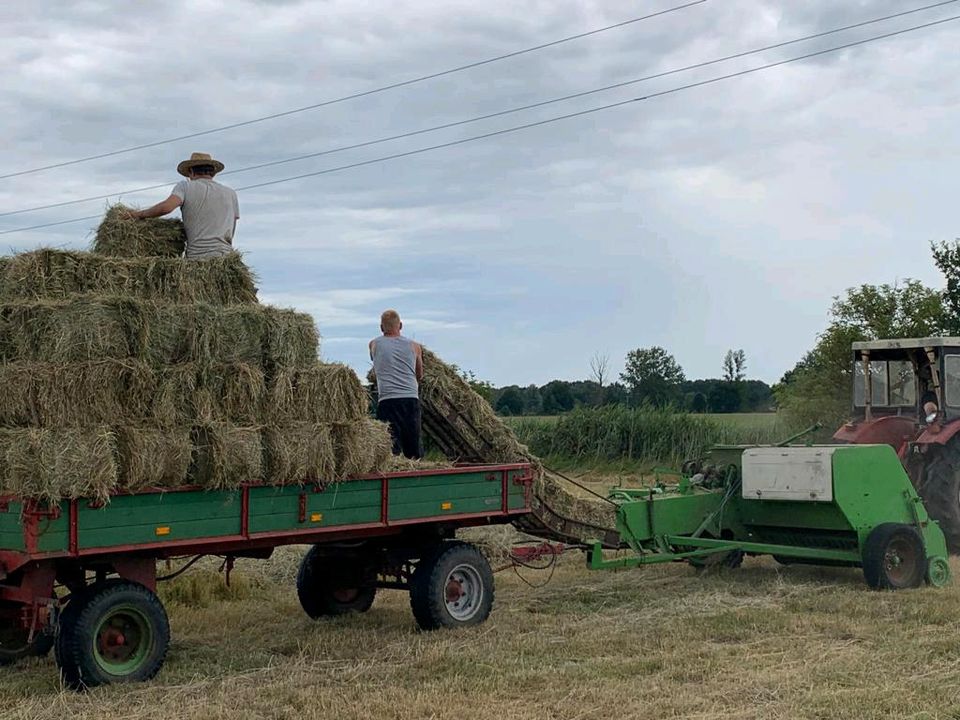 Stroh und Heu Pressen in Bismark (Altmark)