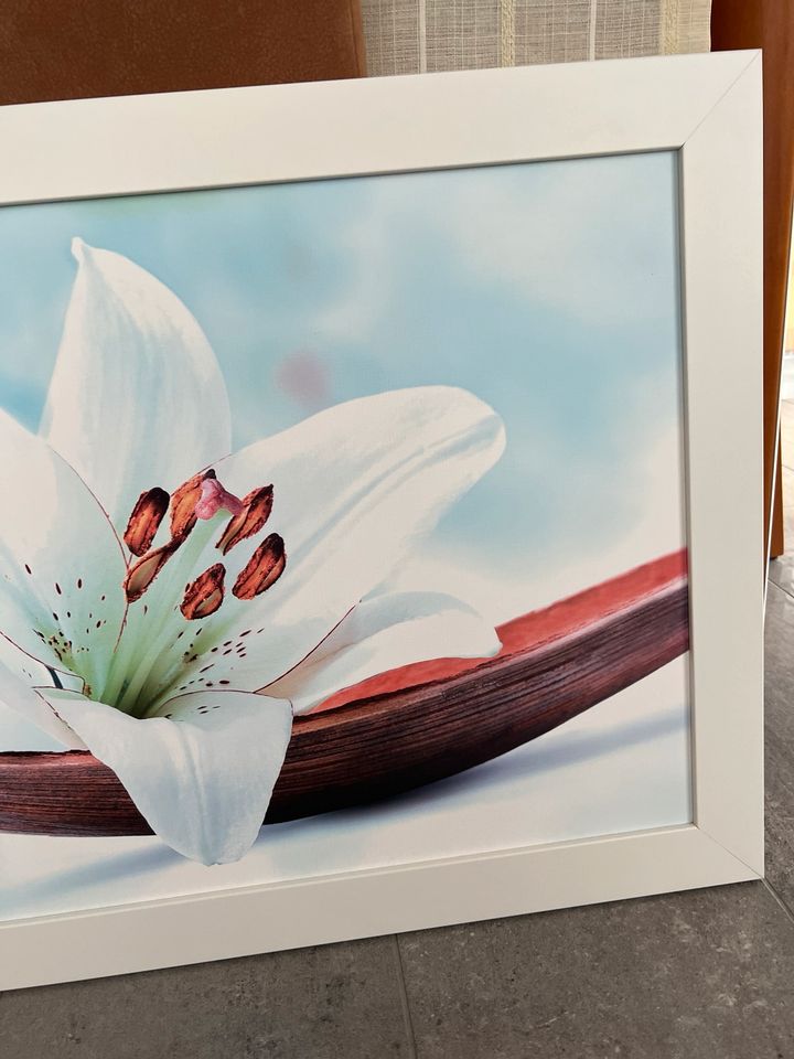 130 * 60 Wandbild Leinwandbild Blume in Kreuzau