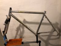 MTB Wheeler 5980 Rahmen Alu Retro Rh 50cm Federgabel Sachsen - Dohna Vorschau