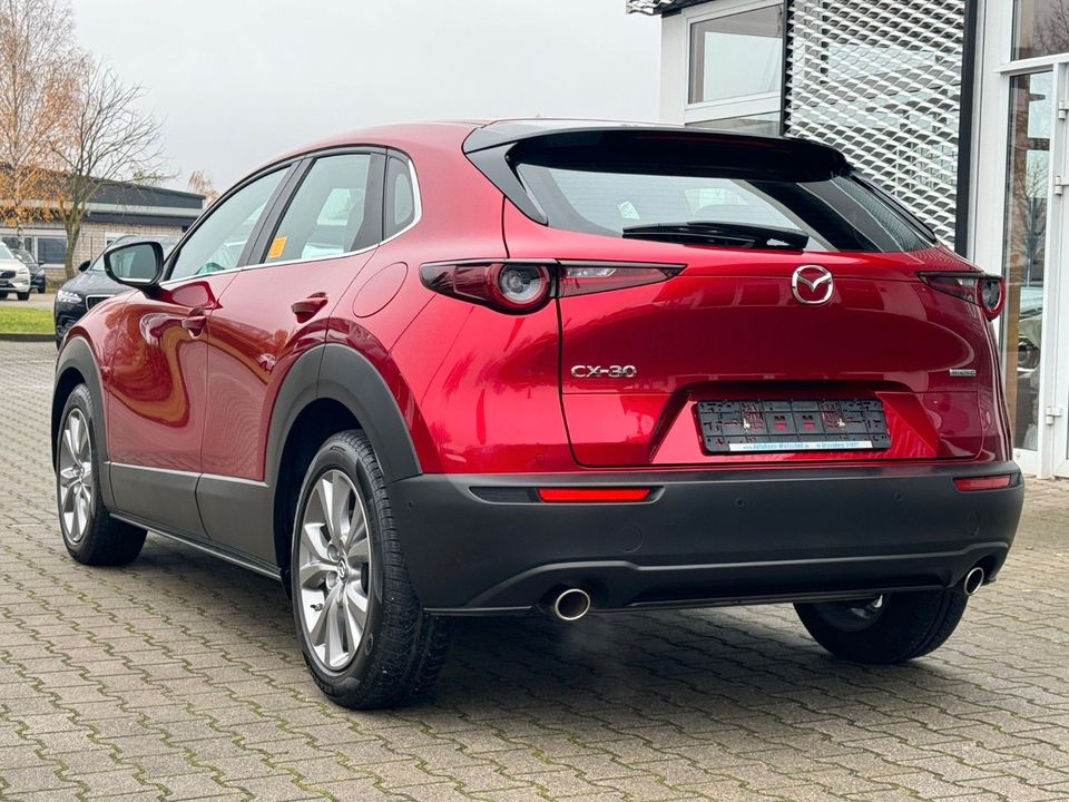 Mazda CX-30 SKY.-G 2.0 M Hybrid Selection HUD BOSE ACC in Strausberg