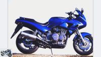 Triumph Sprint 900 T300A T300 Teile Schlachte  Nightshade Hessen - Marburg Vorschau