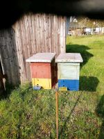 Schutzhäuschen, EWK, Bienen Sachsen - Königsbrück Vorschau