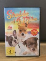 STROLCHE AUF 4 PFOTEN 9 Hunde-Filme +AUFKLEBER Dvd Nordrhein-Westfalen - Viersen Vorschau