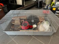 Käfig für Kleintiere Nordrhein-Westfalen - Hagen Vorschau
