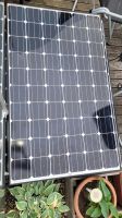 11 St. Solarplatten von Trina Solar Hessen - Lohfelden Vorschau