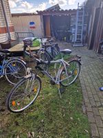 Alu Rex Fahrrad an Bastler zu verkaufen Schleswig-Holstein - Brekendorf Vorschau