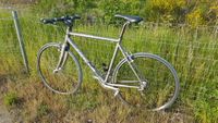 Stevens Strada 800 Fahrrad 28 Zoll RH 55 Crossbike/Fitnessbike Sachsen - Radeberg Vorschau