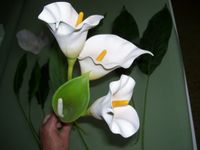 11teilig Calla Kunstblume L50-70cm Blumenstrauß Pflanze Cala Kall Berlin - Neukölln Vorschau